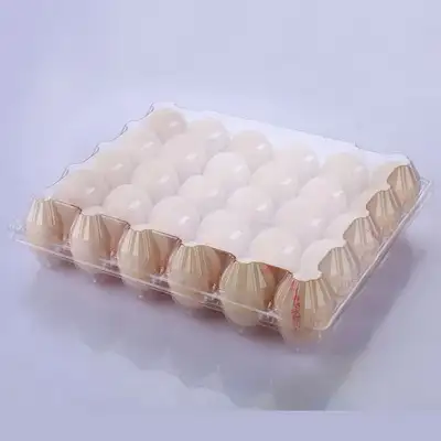 Blue 0.5mm Rigid PP Thermoforming Sheet In Roll_43