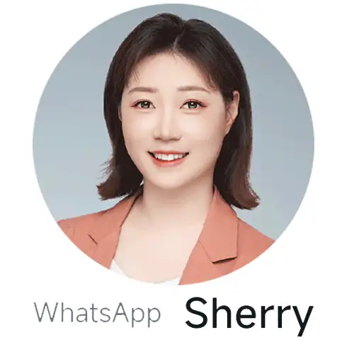 ventes en ligne - Sharry Wang